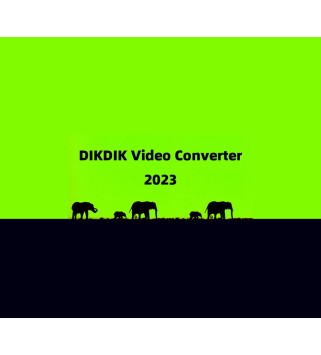 DIKDIK Video Converter Steam Key GLOBAL